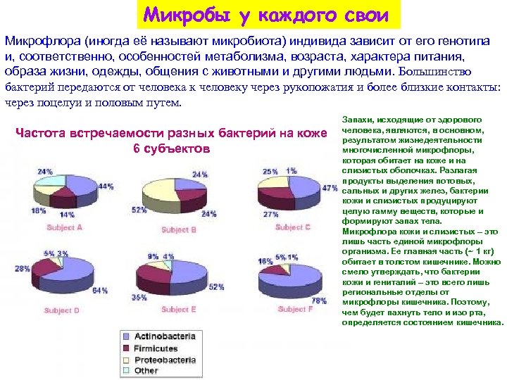 Микробы у каждого свои Микрофлора (иногда её называют микробиота) индивида зависит от его генотипа