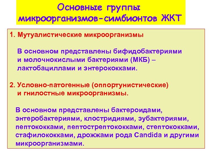 Основные группы микроорганизмов-симбионтов ЖКТ 1. Мутуалистические микроорганизмы В основном представлены бифидобактериями и молочнокислыми бактериями