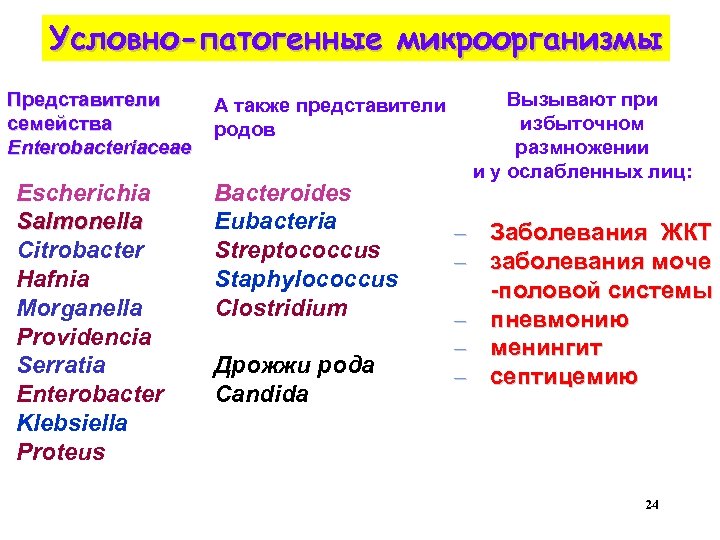 Патогенная микрофлора. Патогенные и условно патогенные микроорганизмы. Условно-патогенные микроорганизмы примеры. Условно патогенные бактерии примеры. Условные патогенные микроорганизмы это.