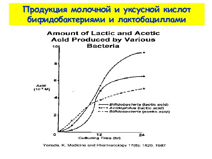 Продукция молочной и уксусной кислот бифидобактериями и лактобациллами 