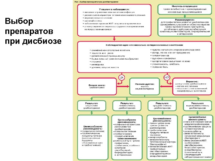 Выбор препаратов при дисбиозе 