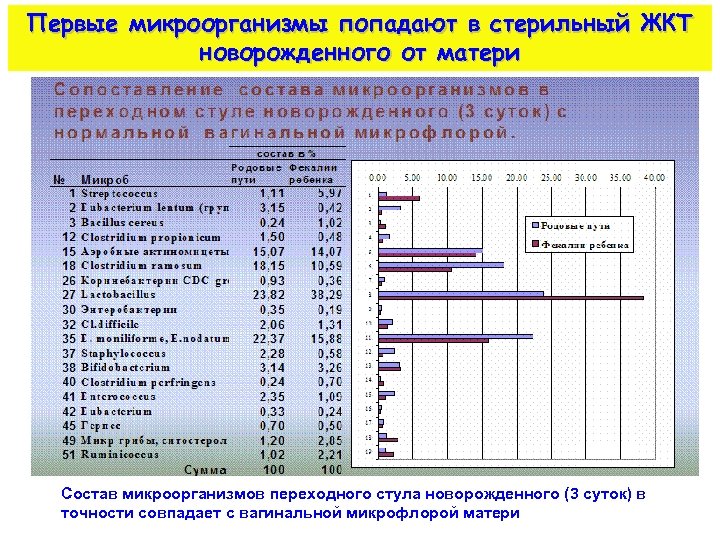 Первые микроорганизмы попадают в стерильный ЖКТ новорожденного от матери Состав микроорганизмов переходного стула новорожденного