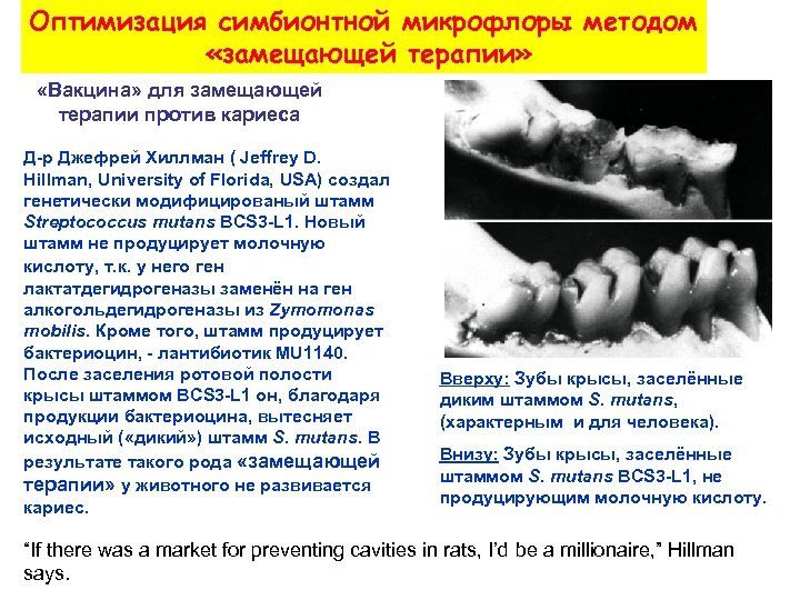 Оптимизация симбионтной микрофлоры методом «замещающей терапии» «Вакцина» для замещающей терапии против кариеса Д-р Джефрей