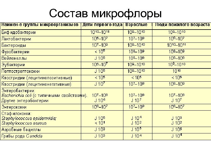 Состав микрофлоры 