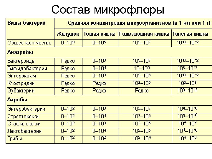 Состав микрофлоры. Состав нормальной микрофлоры. Состав микрофлоры здоровых людей. Состав микрофлоры кишечника человека. Качественный и количественный состав микрофлоры кишечника.