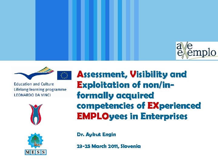 Assessment, Visibility and Exploitation of non/informally acquired competencies of EXperienced EMPLOyees in Enterprises Dr.