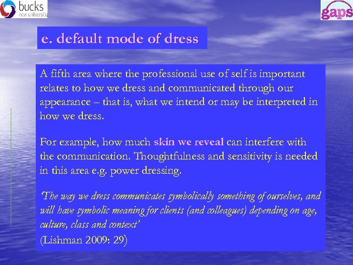 e. default mode of dress A fifth area where the professional use of self