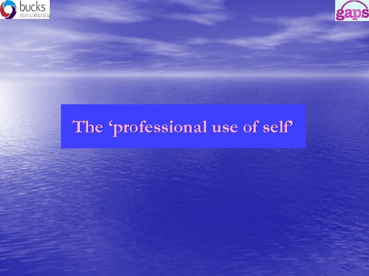 The ‘professional use of self’ 