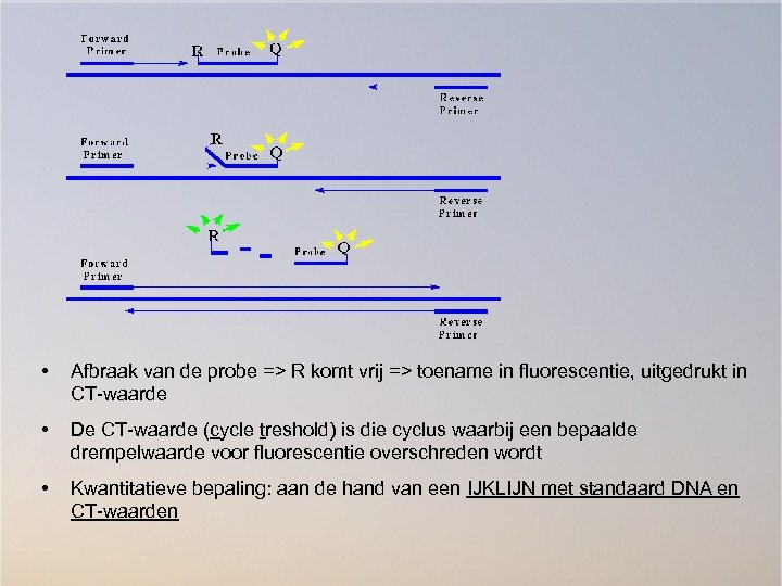  • Afbraak van de probe => R komt vrij => toename in fluorescentie,