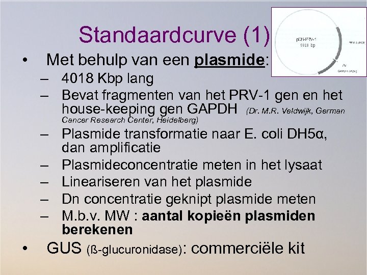 Standaardcurve (1) • Met behulp van een plasmide: – 4018 Kbp lang – Bevat