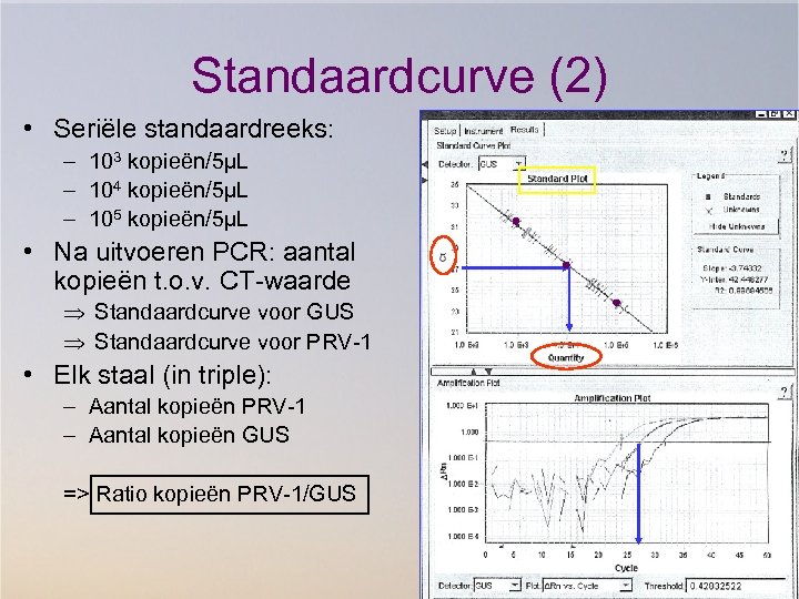 Standaardcurve (2) • Seriële standaardreeks: – 103 kopieën/5µL – 104 kopieën/5µL – 105 kopieën/5µL