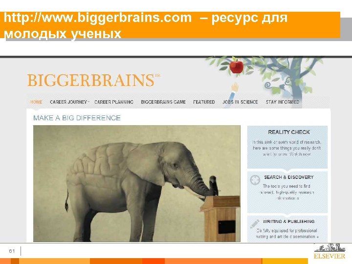 http: //www. biggerbrains. com – ресурс для молодых ученых 61 