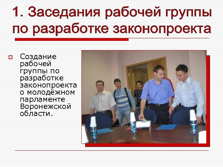 o Создание рабочей группы по разработке законопроекта о молодёжном парламенте Воронежской области. 