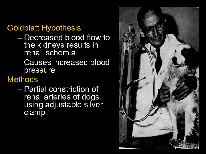 Goldblatt Hypothesis – Decreased blood flow to the kidneys results in renal ischemia –
