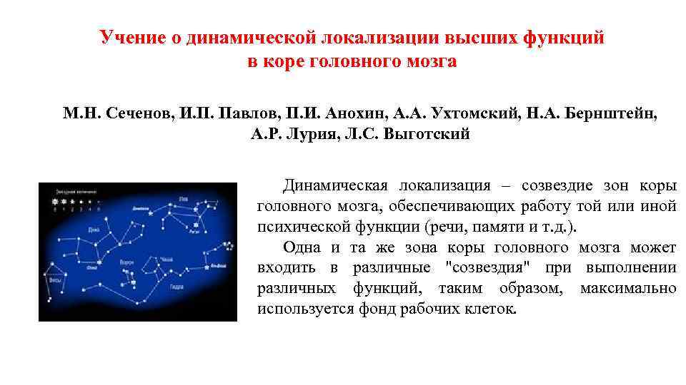 Учение о динамической локализации высших функций в коре головного мозга М. Н. Сеченов, И.