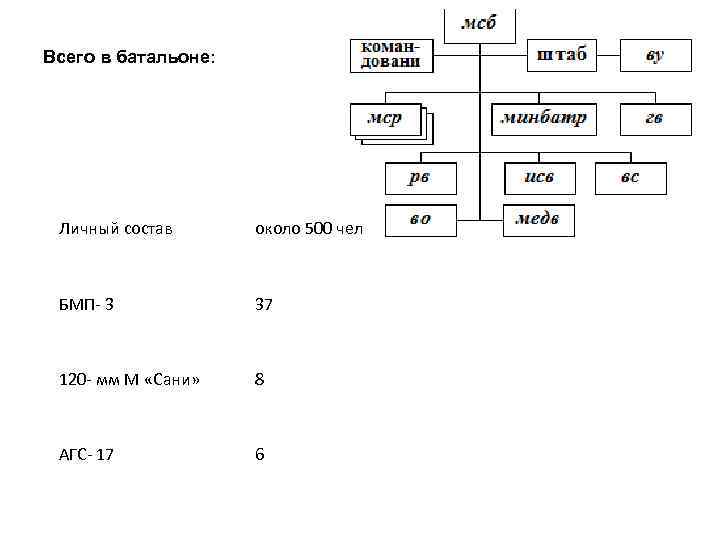 Всего в батальоне: Личный состав около 500 чел БМП- 3 37 120 - мм