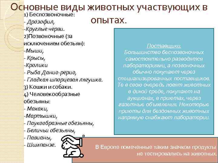 Основные виды животных участвующих в 1) Беспозвоночные: опытах. - Дрозофил, -Круглые черви. 2)Позвоночные (за