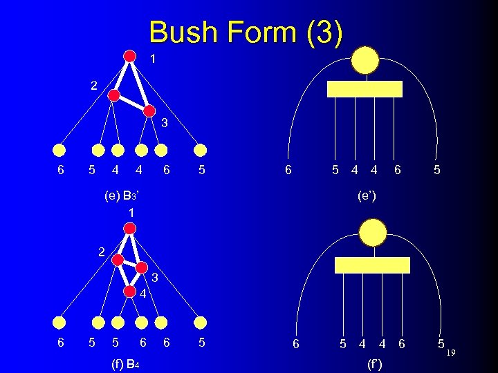 Bush Form (3) 1 2 3 6 5 4 4 (e) B 3’ 1