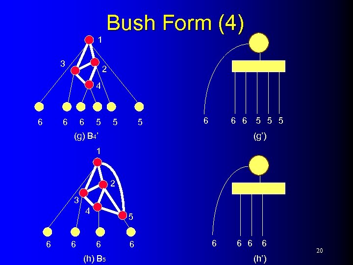 1 3 Bush Form (4) 2 4 6 6 6 5 5 5 (g’)