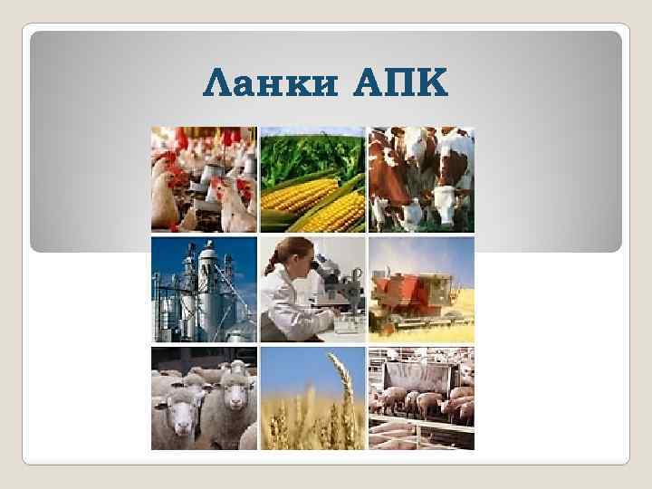 Ланки АПК 