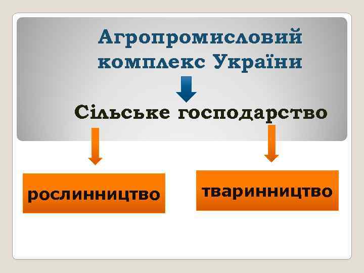 Агропромисловий комплекс України Сільське господарство рослинництво тваринництво 