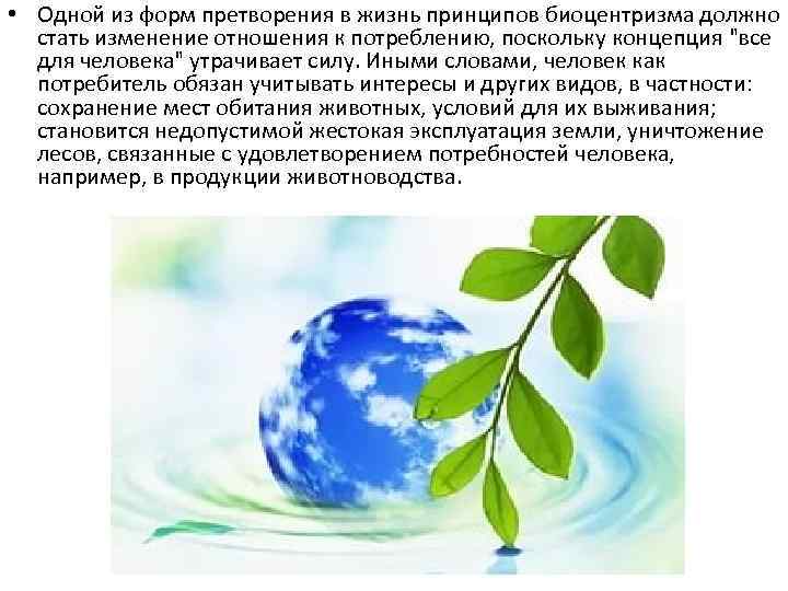  • Одной из форм претворения в жизнь принципов биоцентризма должно стать изменение отношения