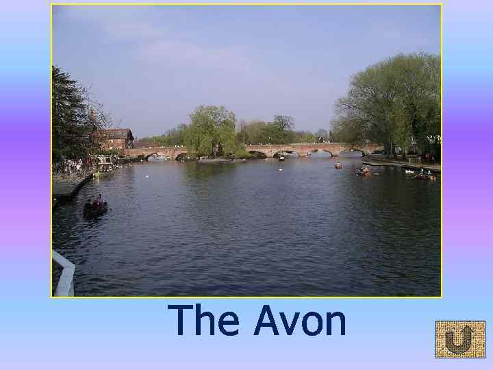 The Avon 