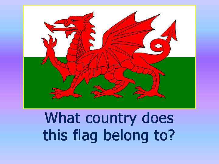 What country does this flag belong to? 