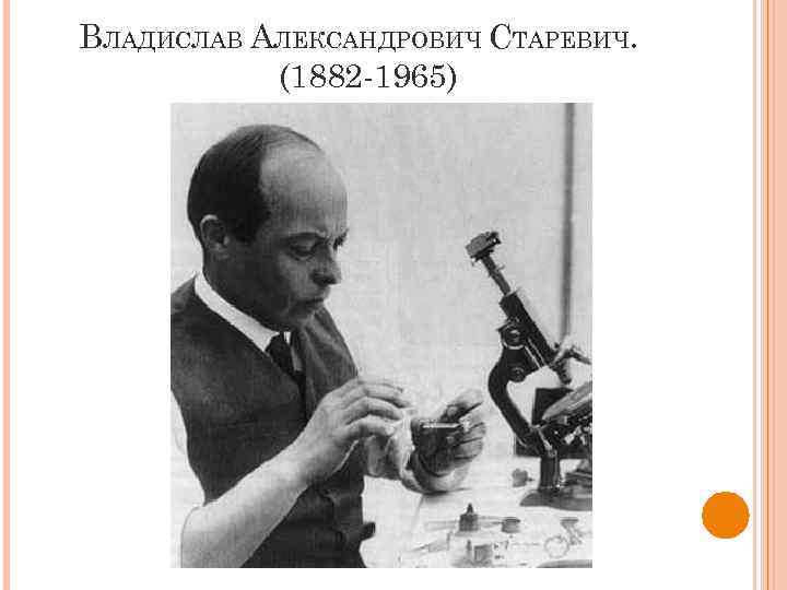 ВЛАДИСЛАВ АЛЕКСАНДРОВИЧ СТАРЕВИЧ. (1882 -1965) 