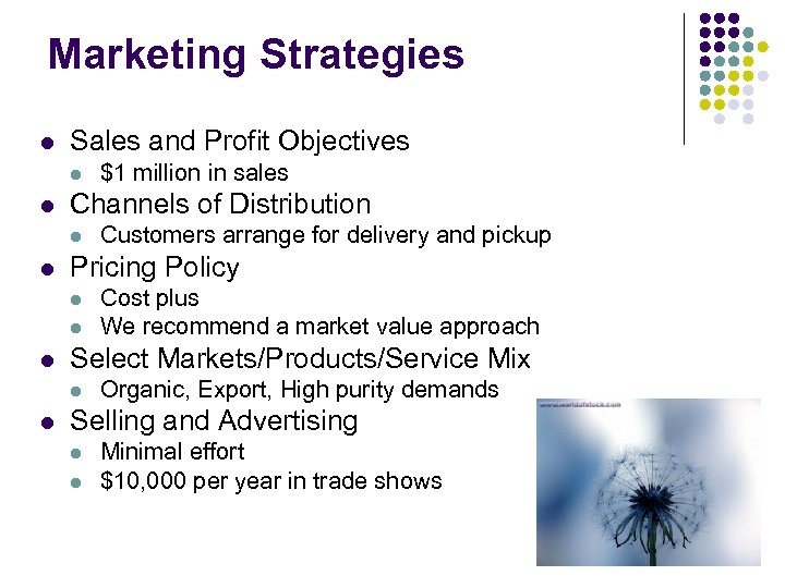 Marketing Strategies l Sales and Profit Objectives l l Channels of Distribution l l