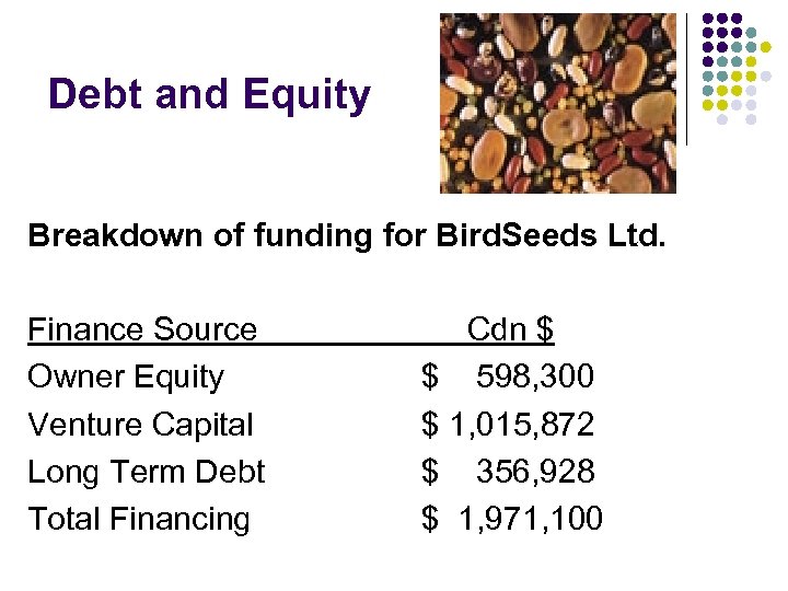 Debt and Equity Breakdown of funding for Bird. Seeds Ltd. Finance Source Owner Equity