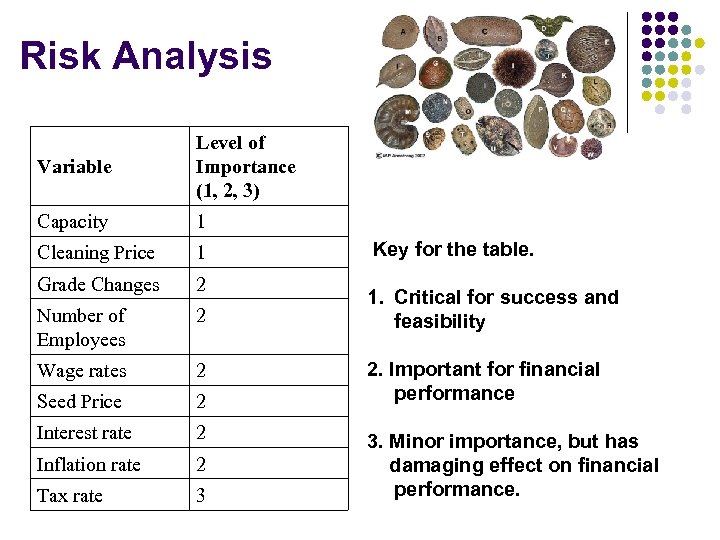 Risk Analysis Variable Level of Importance (1, 2, 3) Capacity 1 Cleaning Price 1