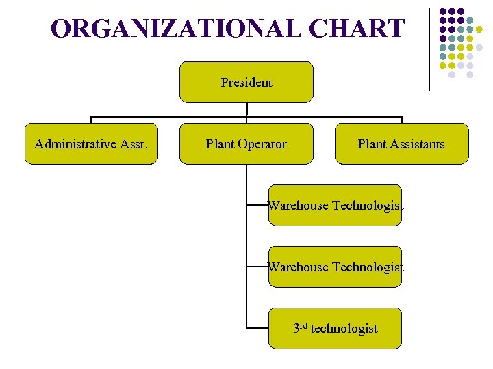 ORGANIZATIONAL CHART President Administrative Asst. Plant Operator Plant Assistants Warehouse Technologist 3 rd technologist