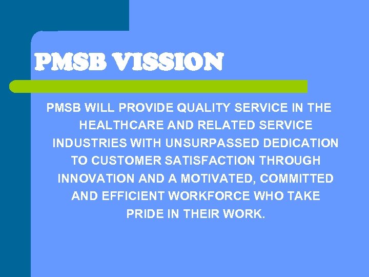 PMSB VISSION PMSB WILL PROVIDE QUALITY SERVICE IN THE HEALTHCARE AND RELATED SERVICE INDUSTRIES