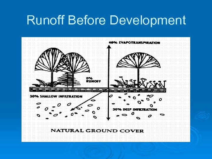 Runoff Before Development 