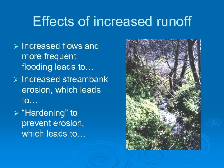 Effects of increased runoff Increased flows and more frequent flooding leads to… Ø Increased