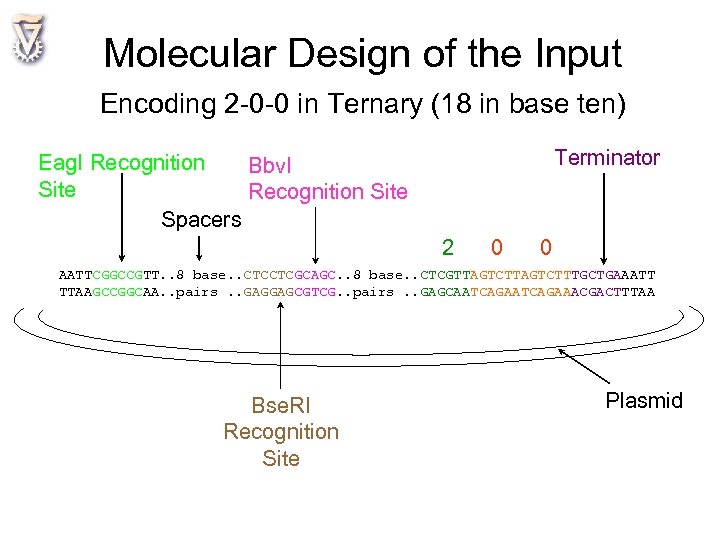 Molecular Design of the Input Encoding 2 -0 -0 in Ternary (18 in base