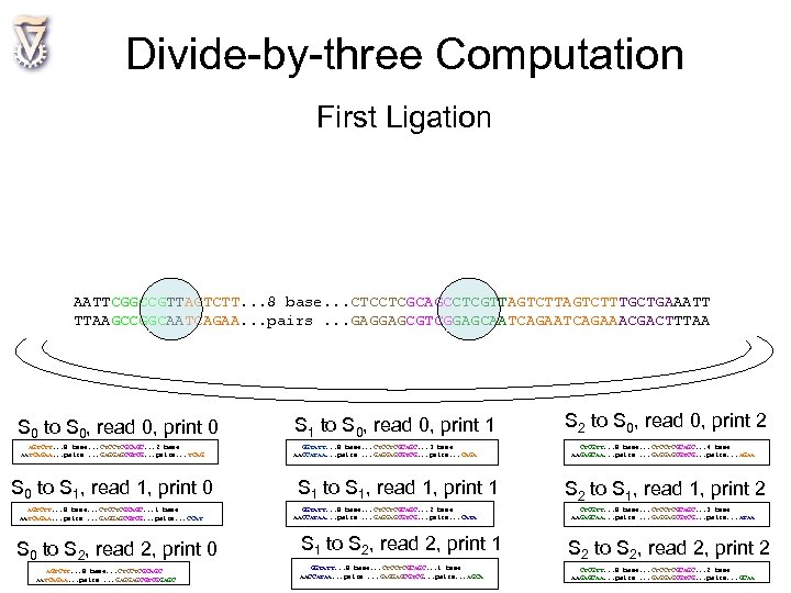 Divide-by-three Computation First Ligation AATTCGGCCGTTAGTCTT. . . 8 base. . . CTCCTCGCAGCCTCGTTAGTCTTAGTCTTTGCTGAAATT TTAAGCCGGCAATCAGAA. .