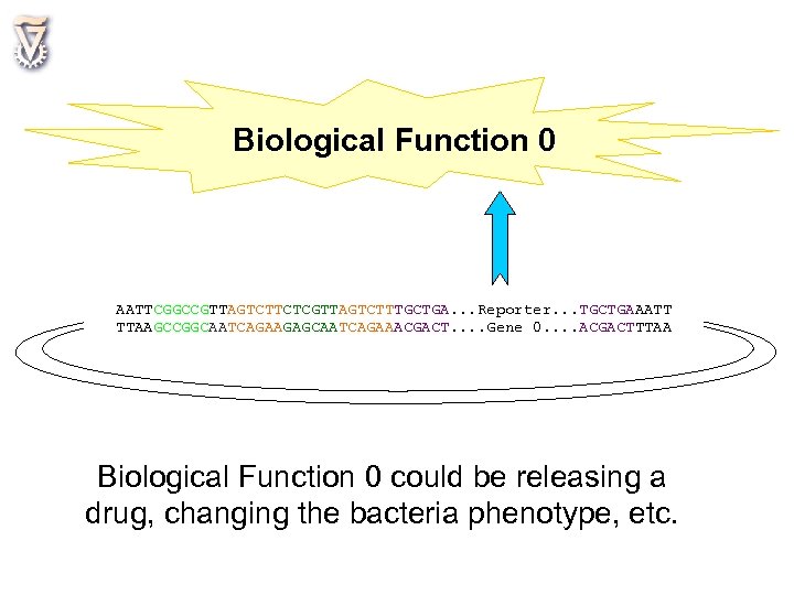 Biological Function 0 AATTCGGCCGTTAGTCTTCTCGTTAGTCTTTGCTGA. . . Reporter. . . TGCTGAAATT TTAAGCCGGCAATCAGAAGAGCAATCAGAAACGACT. . Gene 0.