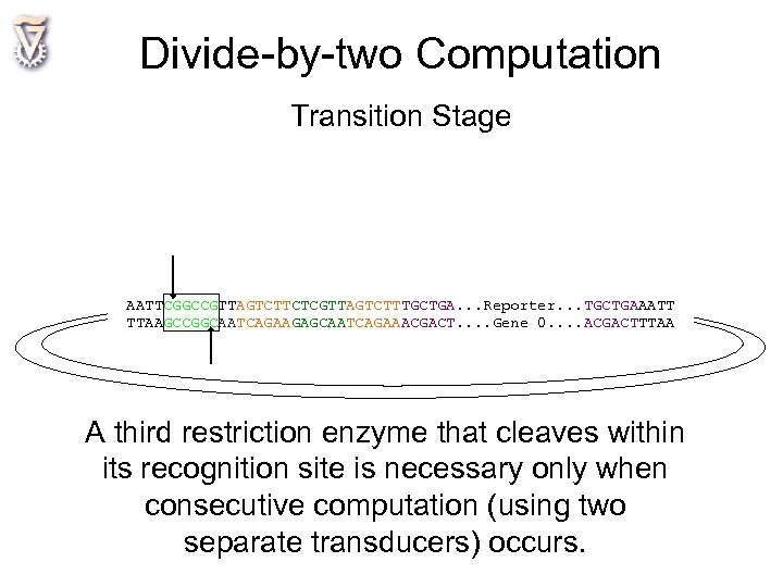 Divide-by-two Computation Transition Stage AATTCGGCCGTTAGTCTTCTCGTTAGTCTTTGCTGA. . . Reporter. . . TGCTGAAATT TTAAGCCGGCAATCAGAAGAGCAATCAGAAACGACT. . Gene