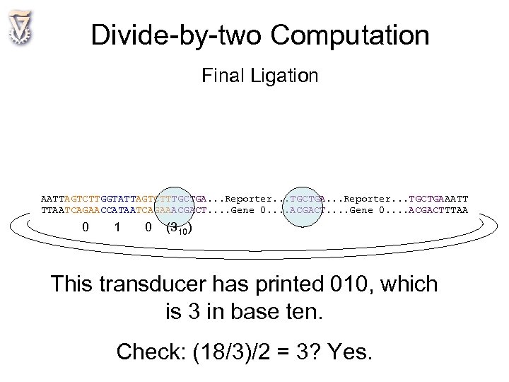 Divide-by-two Computation Final Ligation AATTAGTCTTGGTATTAGTCTTTGCTGA. . . Reporter. . . TGCTGAAATT TTAATCAGAACCATAATCAGAAACGACT. . .