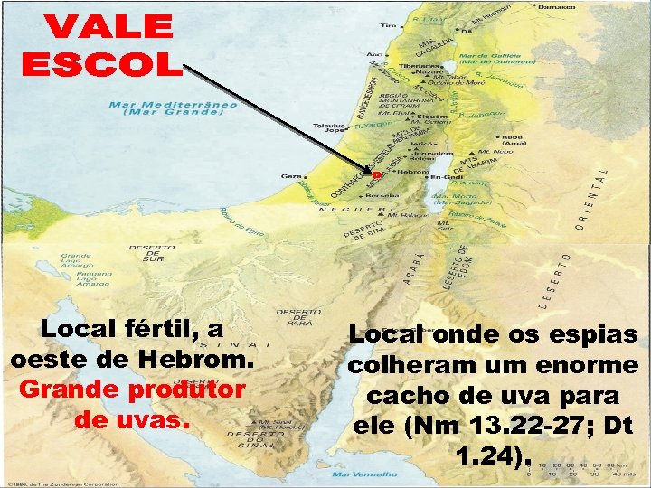 Local fértil, a oeste de Hebrom. Grande produtor de uvas. Local onde os espias