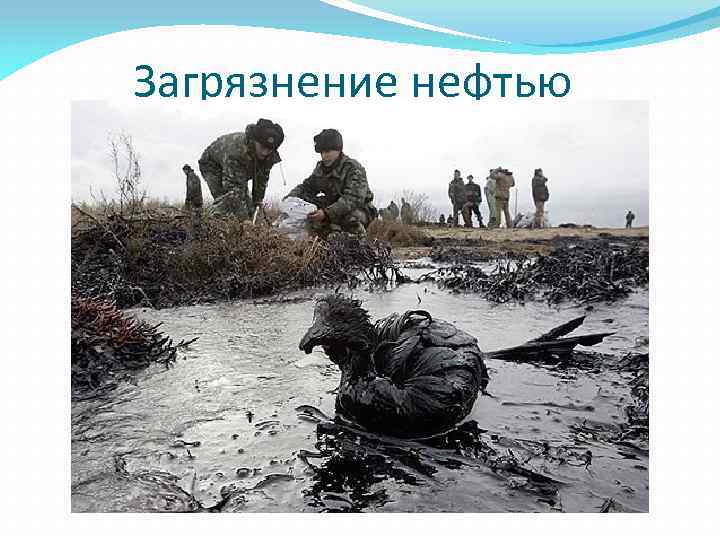 Загрязнение нефтью 