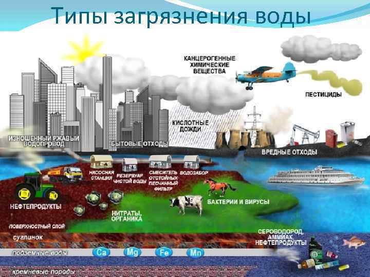 Типы загрязнения воды 