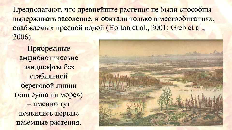 Предполагают, что древнейшие растения не были способны выдерживать засоление, и обитали только в местообитаниях,