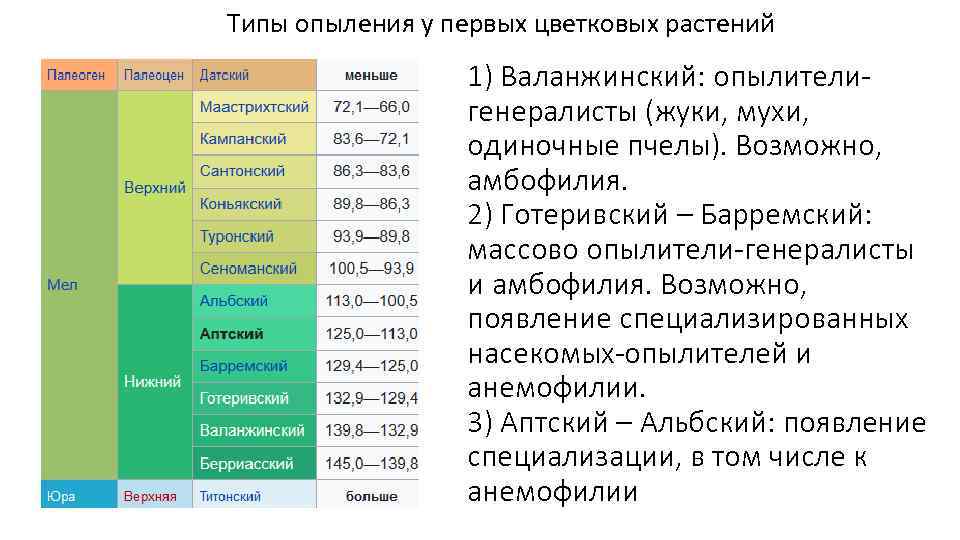 Типы опыления у первых цветковых растений 1) Валанжинский: опылителигенералисты (жуки, мухи, одиночные пчелы). Возможно,