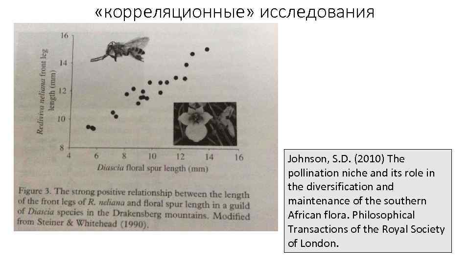  «корреляционные» исследования Johnson, S. D. (2010) The pollination niche and its role in