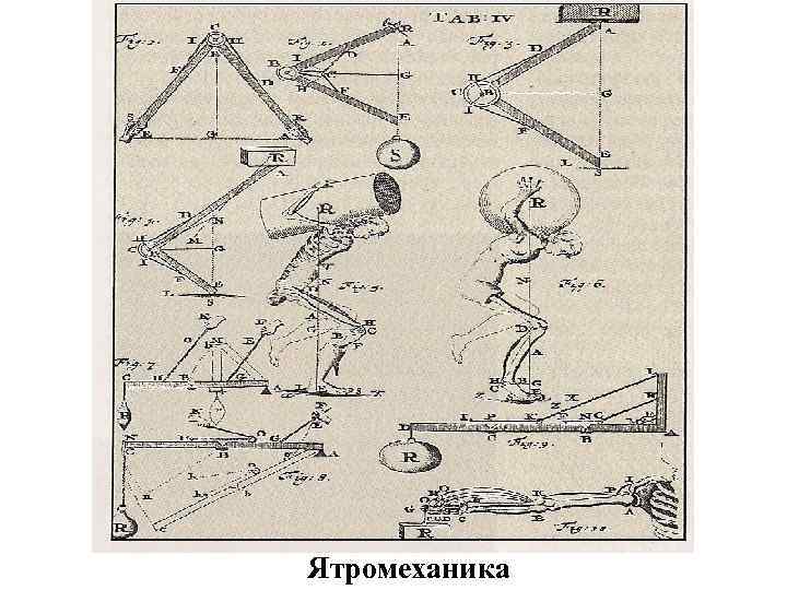 Ятромеханика 