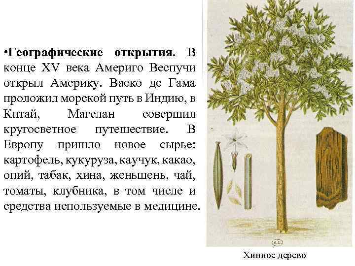  • Географические открытия. В конце XV века Америго Веспучи открыл Америку. Васко де