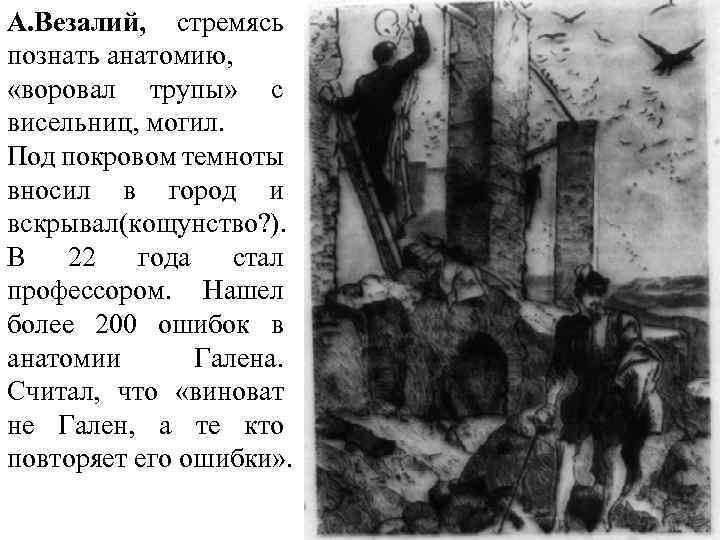 А. Везалий, стремясь познать анатомию, «воровал трупы» с висельниц, могил. Под покровом темноты вносил